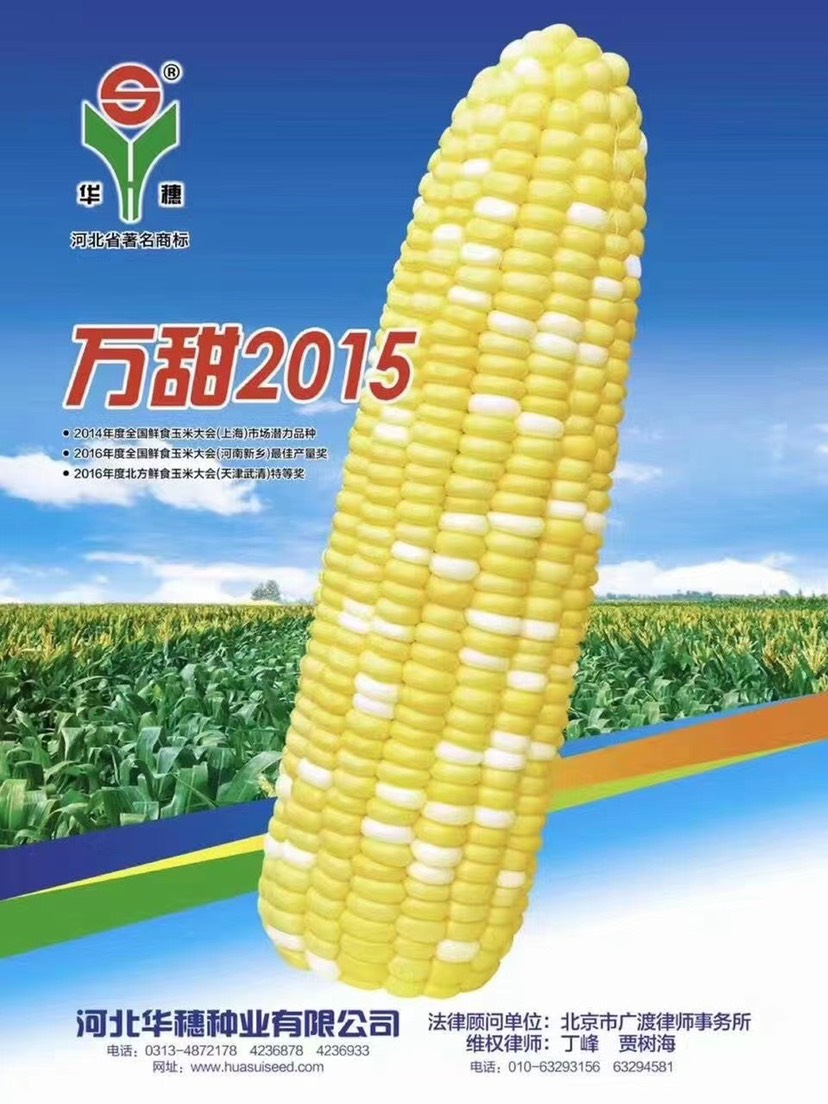 武汉甜玉米种子 万甜2015