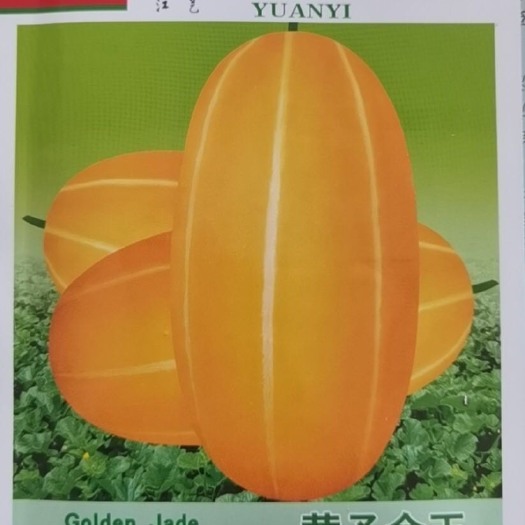 武汉黄金瓜种子 黄子金玉薄皮甜瓜
