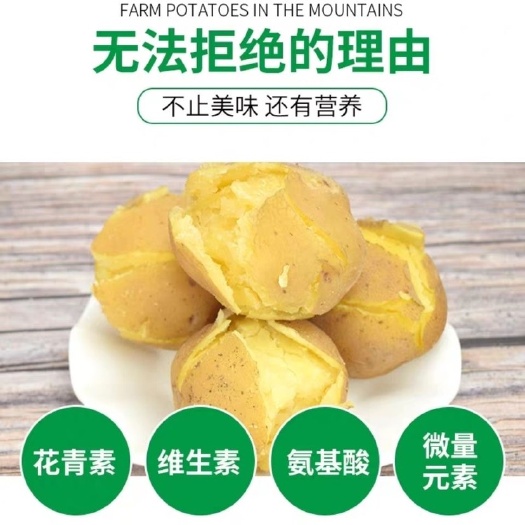 甘肃土豆、定西土豆高原一点红土豆大量批发、口感好、旱地土豆
