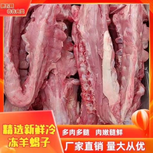 阳信县羊蝎子  厂家直销加肉羊脊骨，一手货源欢迎选购