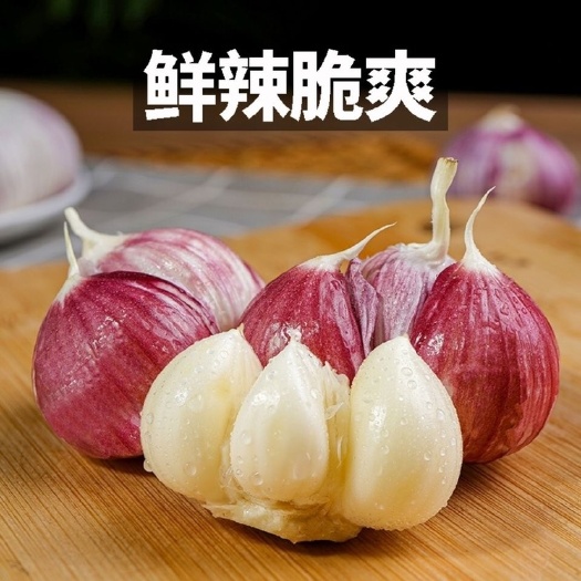 杞县一件代发紫皮蒜 2023新鲜大蒜现挖现发紫皮鲜蒜可腌糖醋蒜