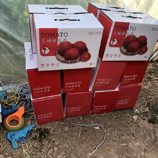 永清县普罗旺斯番茄 普罗旺斯西红柿礼盒装