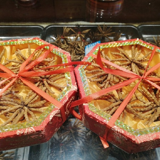 西宁冬虫夏草虫草王精选虫草