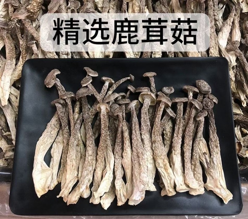 鹿茸菇干货，全干无硫，厂家直销，量大从优