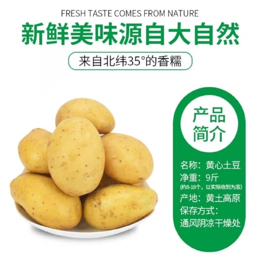 甘肃土豆、定西黄心土豆大量批发、规格齐全、价格便宜
