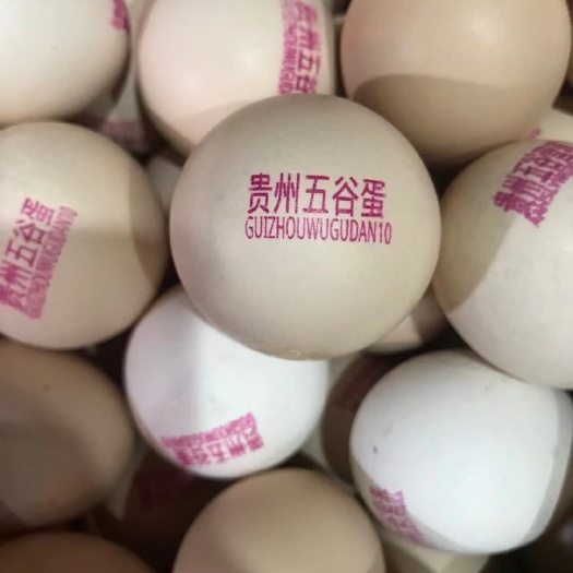 普通鸡蛋 鸡蛋喷码机，打字机