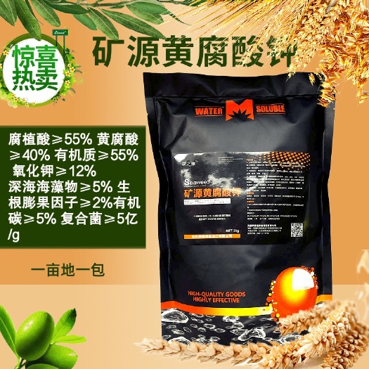潍坊矿源黄腐酸钾 1000克