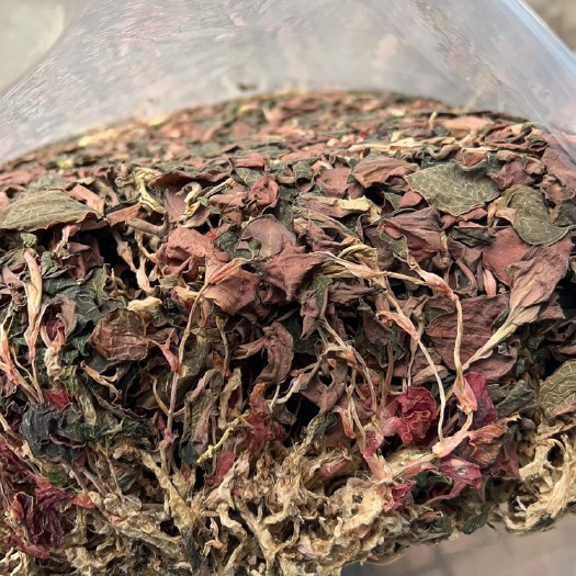 金线莲 红霞￼ 全无碎货。