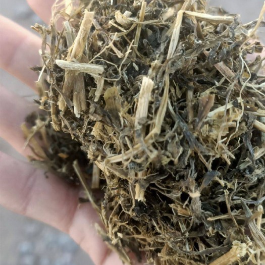 阿旗饲料燕麦草 燕麦青贮草 青贮饲料，燕麦青储，苜蓿青贮！