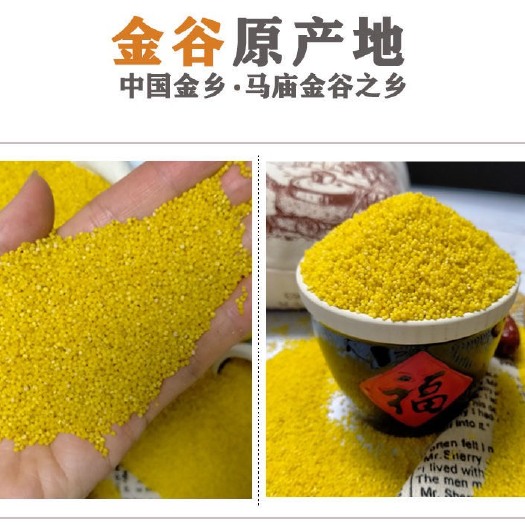 金乡县黄小米 马庙金乡小米