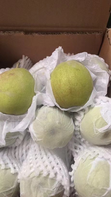 昆明 六公斤装新疆库尔勒香梨20元每箱