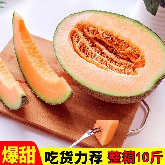 莘县晓蜜25号 山东小蜜25号哈密瓜