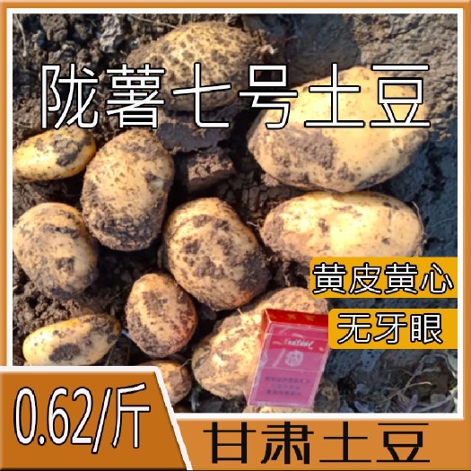 定西黄心土豆 【推荐】甘肃土豆.定西土豆大量批发、马铃薯批发口感好价格便宜