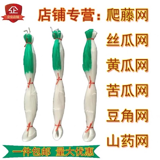 无棣县爬藤网植物攀爬网 养殖网防护网栏网