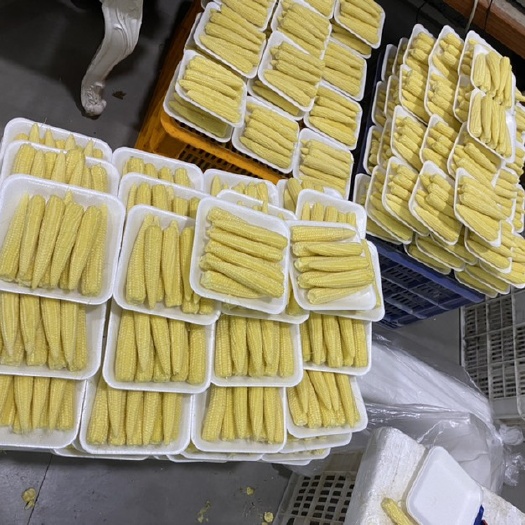 漳州玉米笋批发