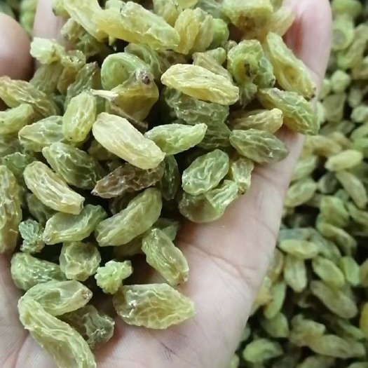 长沙绿葡萄干   吐鲁番市葡萄干