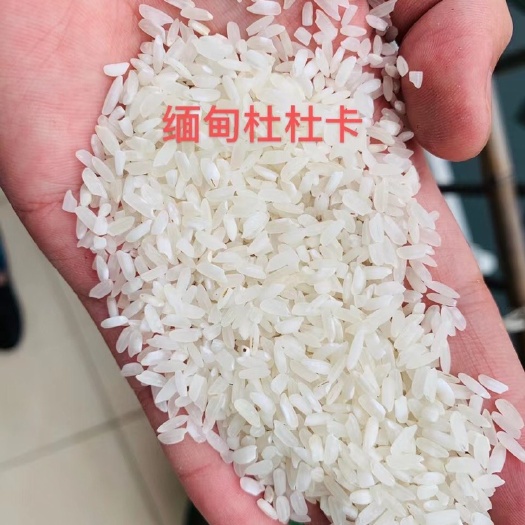 岳阳缅甸杜卡白米，粉米系列，质量保证，做粉效果好，一手货源