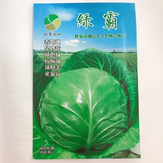 临沂圆包菜种子 绿霸甘蓝种子基地合作社专用品种