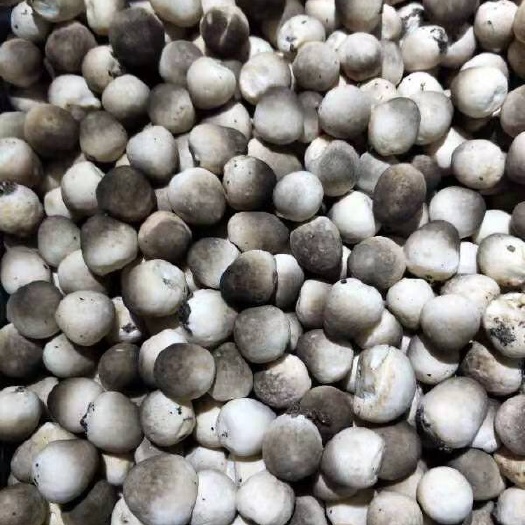 丹阳市精品草菇