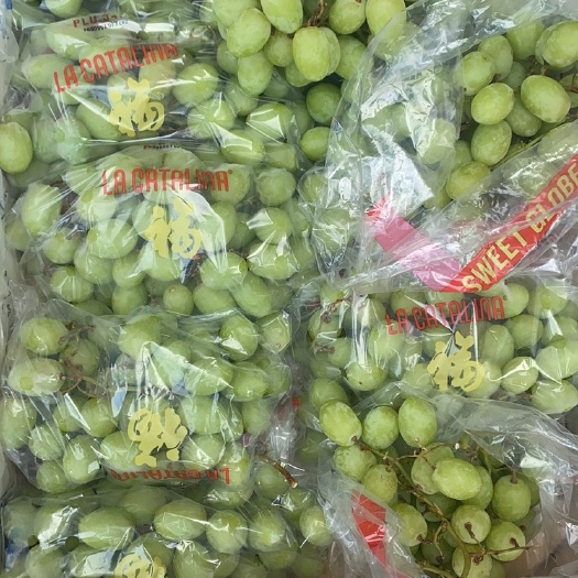 广州秘鲁秋天脆 青提 脆甜无渣