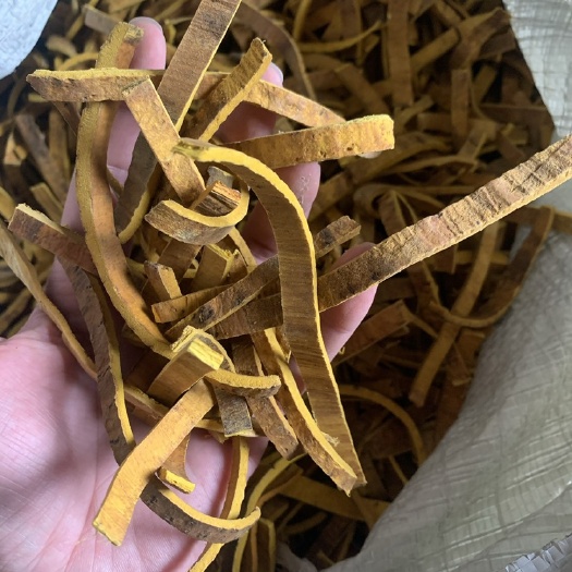平武县黄柏丝 去皮 统货