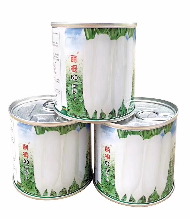 云南水果萝卜种子—南韩引进耐抽苔春萝卜品种 基地专用品种