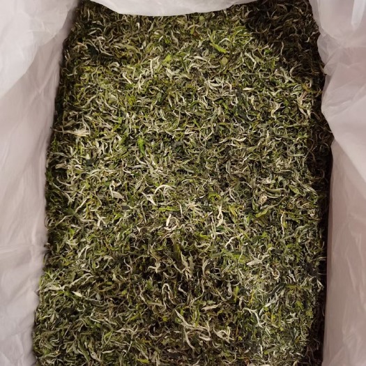 昆明银毫茶 2024年早春绿茶上市