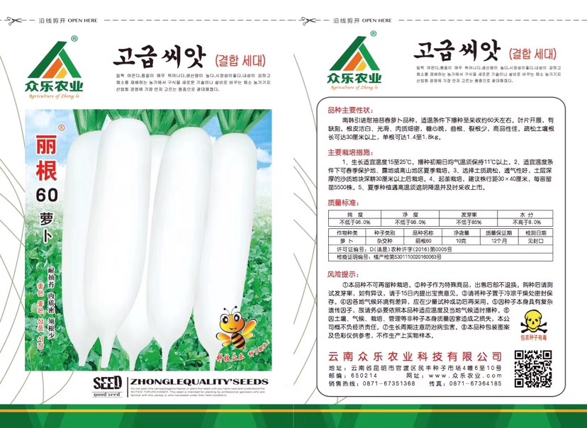 云南水果萝卜种子—南韩引进耐抽苔春萝卜品种 基地专用品种