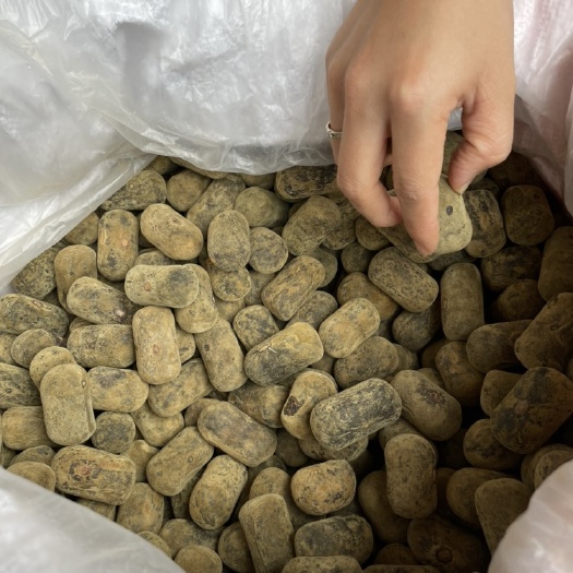 化橘红压果2.5
