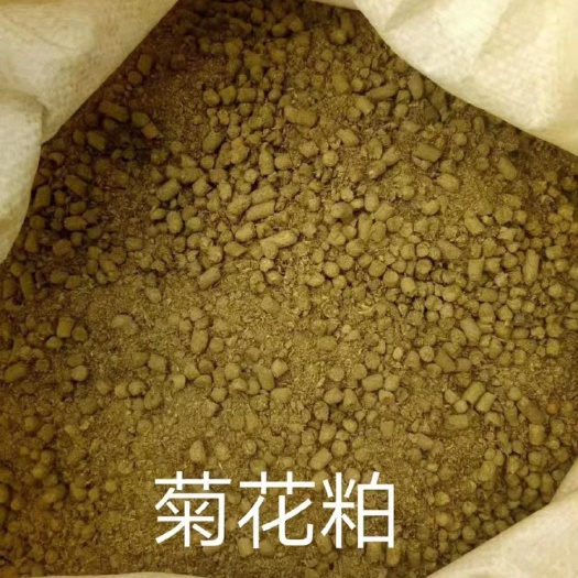 正定县菊花粕