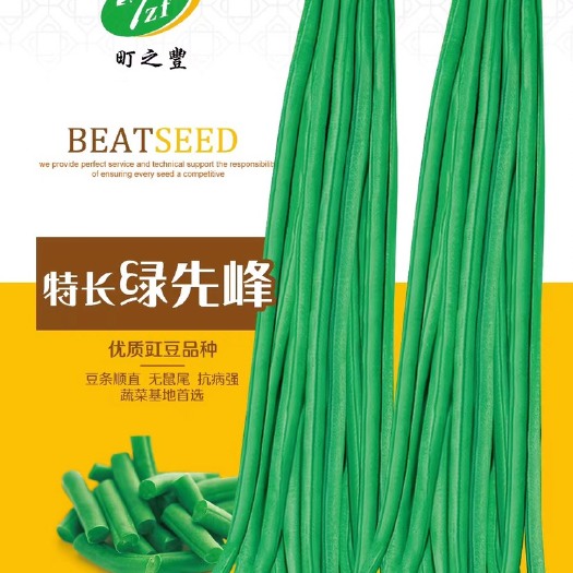 临沂 特长绿先锋豆角种子豆角种子种植基地专用品种