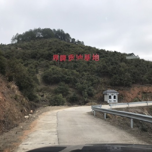 衡阳县野生山茶油