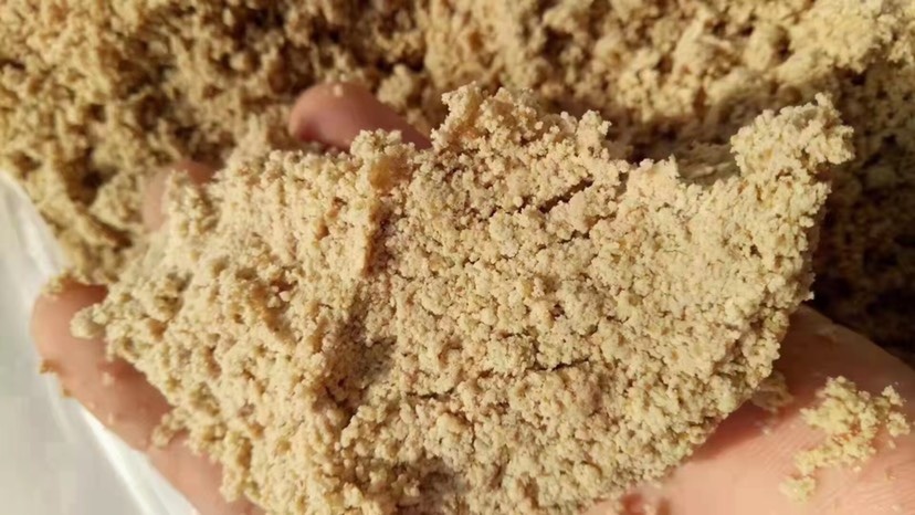 正定县湿玉米渣