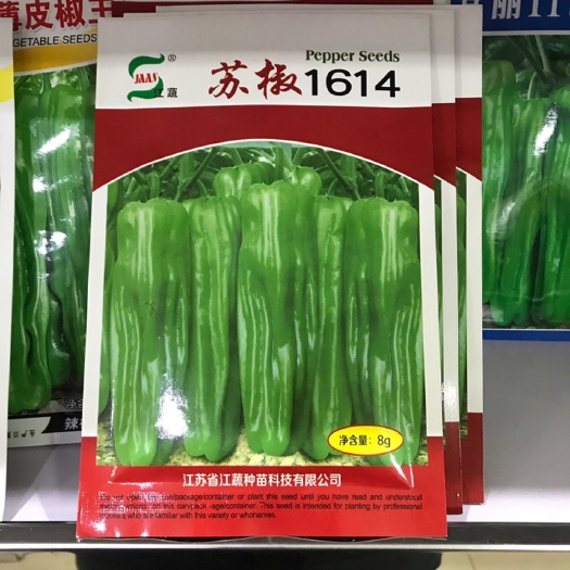 临沂 苏椒1614薄皮辣椒种子竖皱大果薄皮辣椒种子