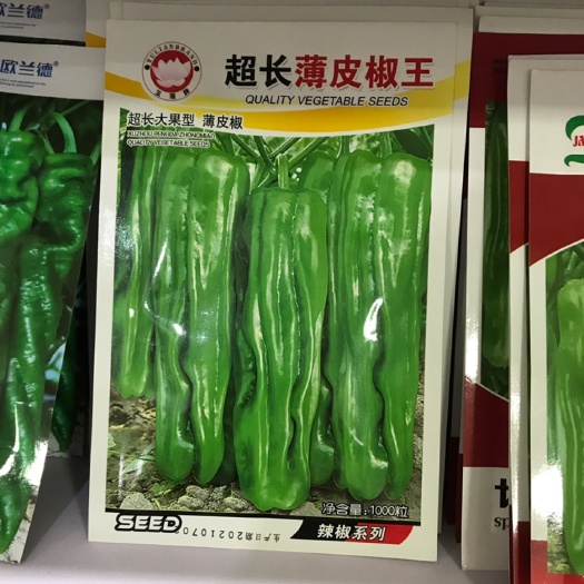 临沂 超长薄皮椒王辣椒种子薄皮辣椒种子