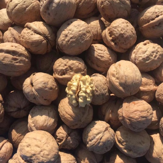 灵丘县灵丘薄皮核桃