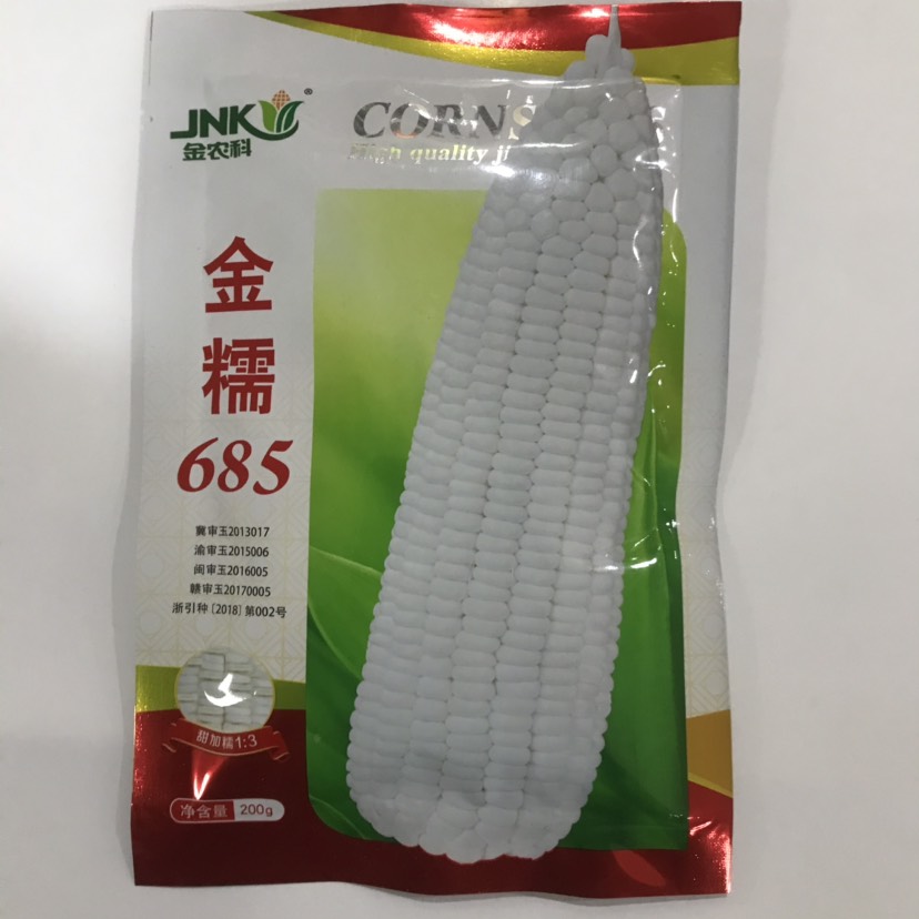 临沂甜玉米种子 金糯685甜加糯大棒玉米种子国审甜糯玉米种子