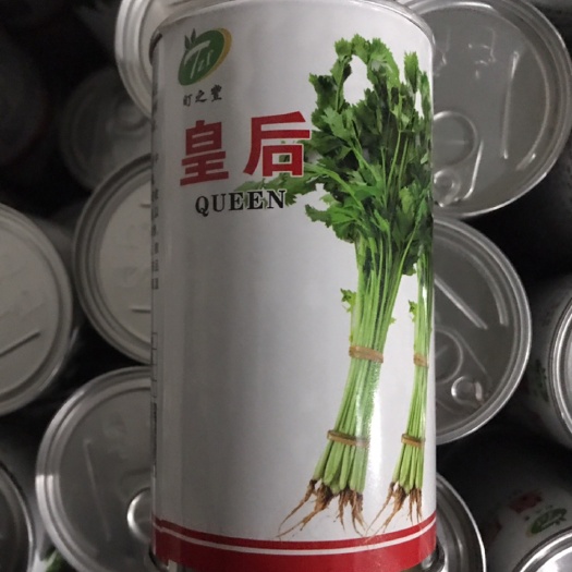  皇后香芹种子油靓型皇后芹菜种子