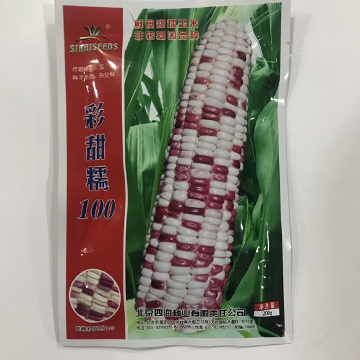 临沂甜玉米种子 彩甜糯100甜加糯大棒玉米种子