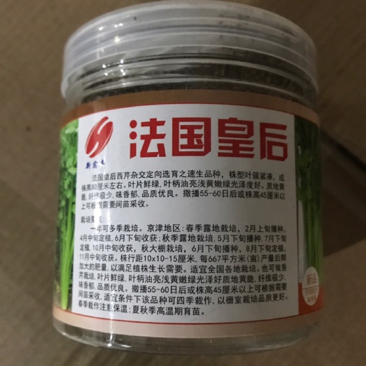 临沂 法国皇后芹菜种子油靓皇后芹菜种子