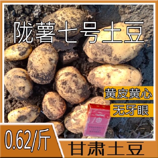  【推荐实力商家】定西土豆3两以上大量批发.黄心土豆旱地种植