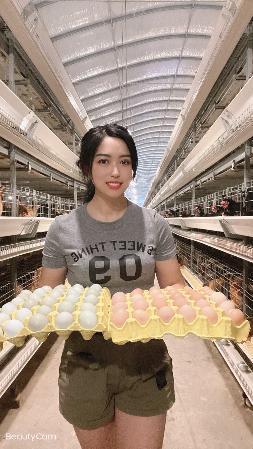 粉壳蛋 粉蛋 自养自销 无抗生素 破损包赔