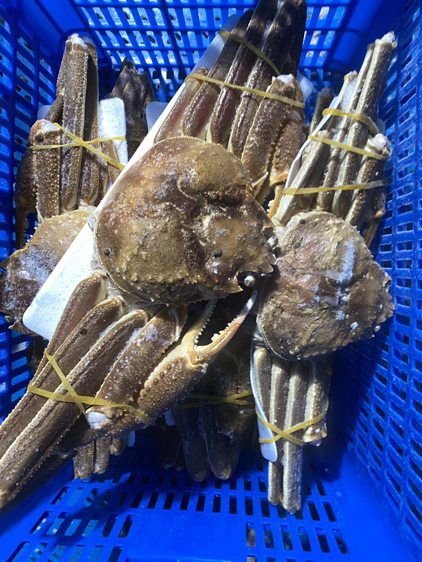 上海长脚蟹全国各地可发货