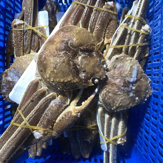 上海长脚蟹全国各地可发货