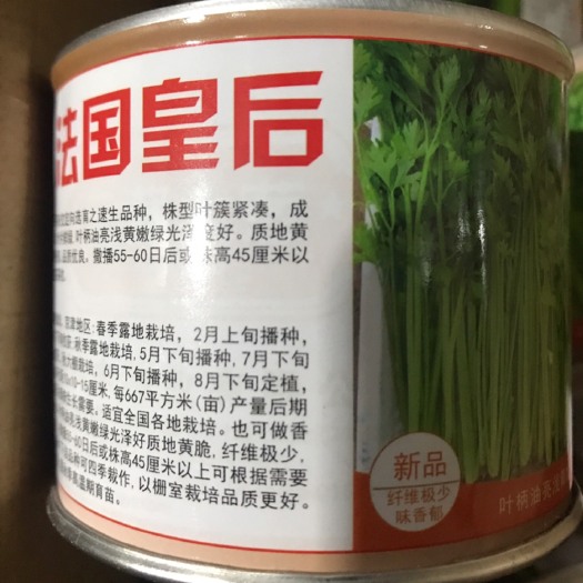 临沂 法国皇后芹菜种子基地合作社专用香芹品种
