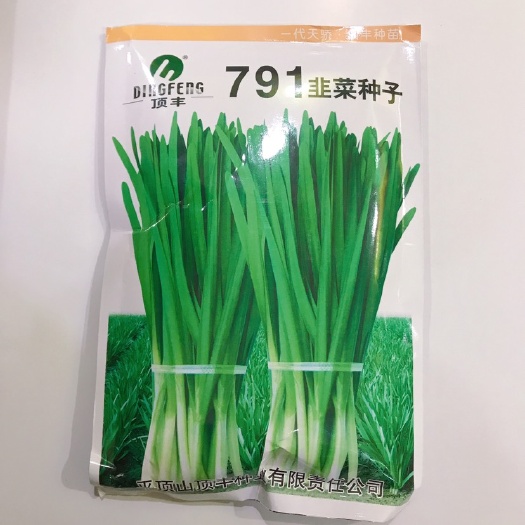 临沂 791韭菜种子雪韭韭菜种子