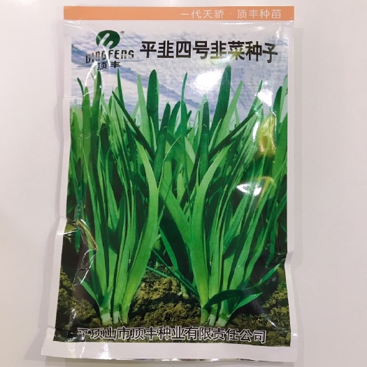 临沂 平韭四号韭菜种子