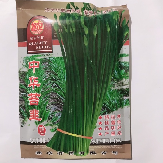 临沂韭菜种子 中华苔韭种子韭苔种子