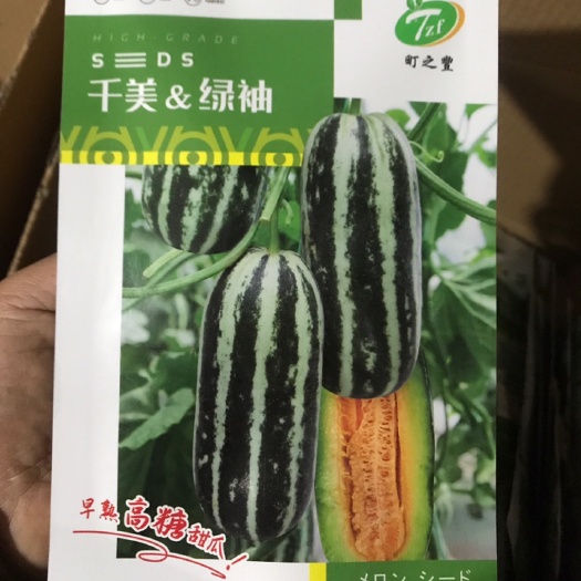 临沂博洋甜瓜种子 千美绿袖甜瓜种子博洋甜瓜系列种子