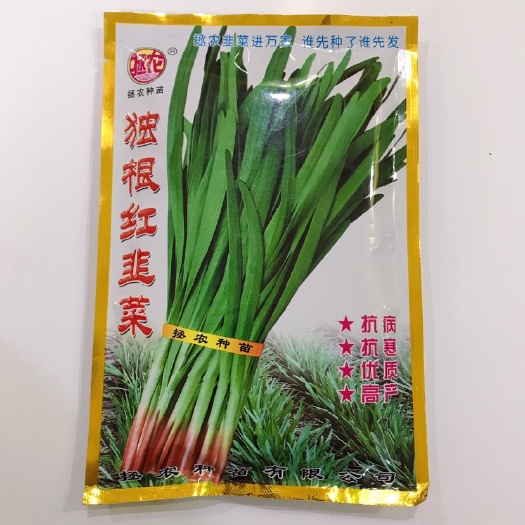 临沂 独根红韭菜种子